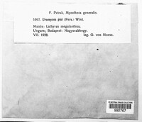 Image Associated With the Occurence